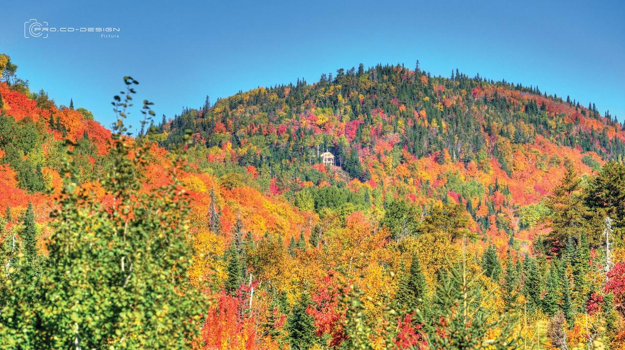 Le Ti Moose Villa La Malbaie Exteriör bild