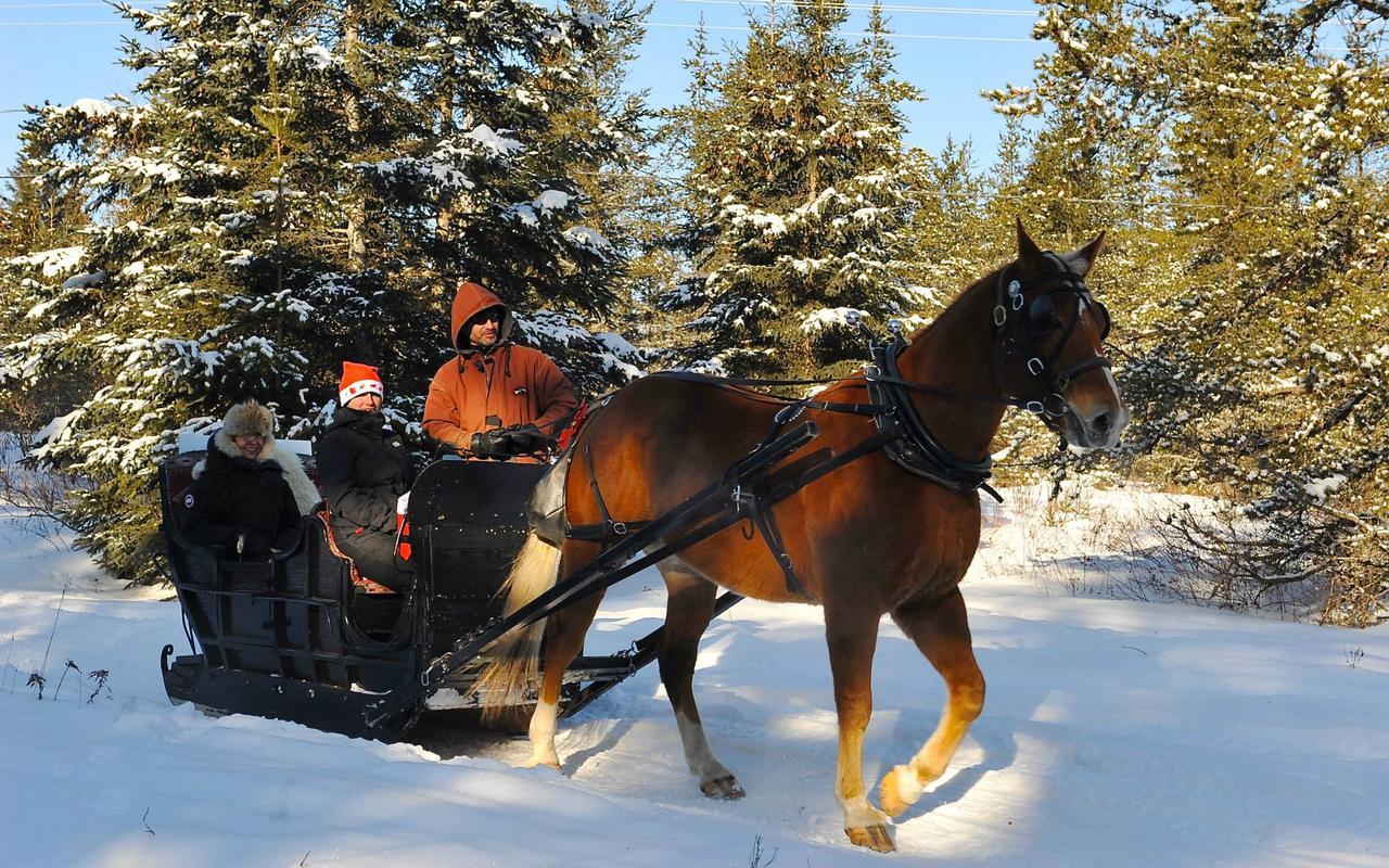 Le Ti Moose Villa La Malbaie Exteriör bild